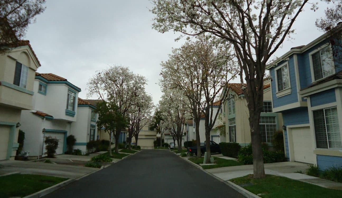 Homes along a residential street in Santa Clara, California